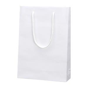 フラットファイル A4S 樹脂 クリーム 4970090212668 ファイル ケース パンチ式ファイル フラットファイル 日本ノート（アピ HL1