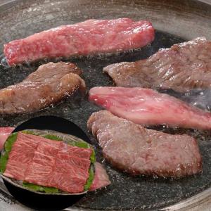 肉 ギフト 冷凍 400g 牛肉 信州プレミアム牛肉焼肉 バラ 長野 お土産 ご進物 香典返し 志 法要 記念品 賞品 お返し お中元 お歳暮 内祝