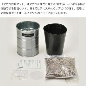 栽培セット 栽培キット 室内 アガベ GD-1...の詳細画像2