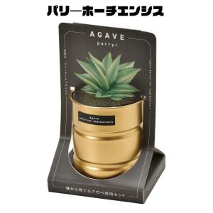 栽培セット 栽培キット 室内 アガベ GD-1...の詳細画像3
