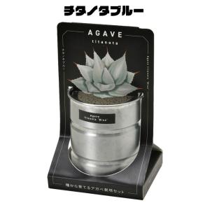 栽培セット 栽培キット 室内 アガベ GD-1...の詳細画像5