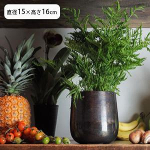 鉢カバー 植木鉢 花器 観葉植物 プランター AM4ベース プラントポット ポット 植物用ポット 丸 植物 植木鉢カバー 花 園芸 花瓶 インテリア