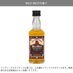 ディフューザー オンザロックスディフューザー ...の詳細画像5
