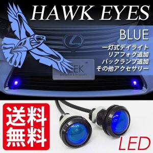 ホークアイ LED スポットライト ボルト固定 埋込 防水 DIYに 2本セット 青／ブルー 送料無料