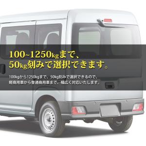 シールじゃない金属仕上げ 最大積載量 ステンレ...の詳細画像3