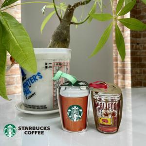 STARBUCKS COFFEE オーナメント スターバックス コーヒー ご当地限定  スタバ｜seekcoltd