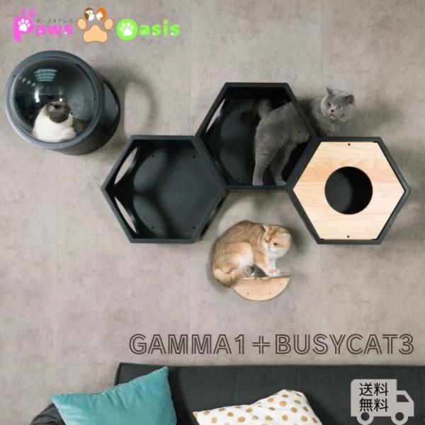 MYZOO マイズー 六角ハウス3個+ 宇宙船GAMMAセット キャットステップ おしゃれ キャット...