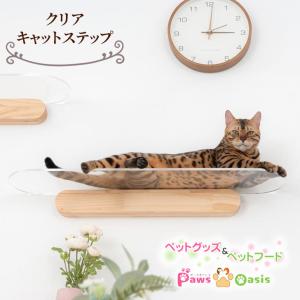 MYZOO マイズー キャットステップ OBLONG オブロング クリア キャット