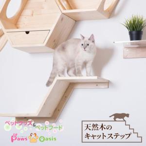 MYZOO マイズー TUNNEL キャットウォーク トンネル 透明 壁付け