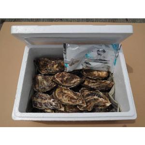 北海道 厚岸産 生牡蠣 「マルえもん」3Lサイ...の詳細画像1