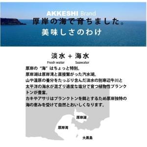 北海道 厚岸産 生牡蠣 「マルえもん」3Lサイ...の詳細画像5