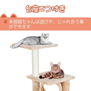 ZENY 「セール価格」キャットタワー 省スペ...の詳細画像3