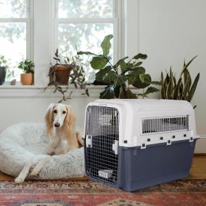 【期間限定価格】ペットキャリーケース コマ付き KING OF THE DOG 期間限定価格】ペットキャリーケース コマ付き KING OF THE DOG