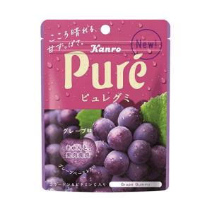 ヒトツブカンロ 【箱付き】ヒトツブカンロ グミッツェル BOX（12個入り