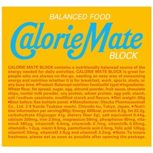 カロリーメイト 大塚製薬 ブロック チョコレート味 1箱（4本入）×30箱