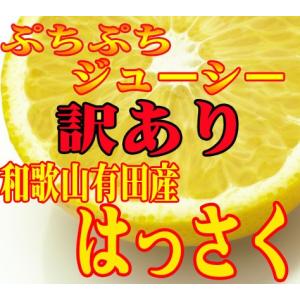 (訳あり) 和歌山有田産 訳あり 八朔(はっさく) １０ｋｇ サイズふぞろい ３Ｓ〜５Ｌ)(傷・斑点等あり)(わかやまありだ)(みかん)