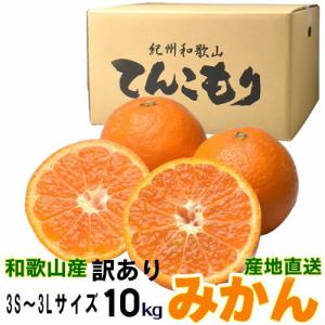 訳あり和歌山みかん １０ｋｇ（箱込約10kg） 3S〜3Lサイズ  サイズ混合もしくはサイズ統一・キズ・シワ・他　みかん 10kg 訳ありみかん/わけあり