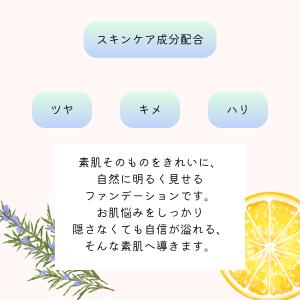 セグロラ ネネファンデーション お試しサイズ ...の詳細画像5