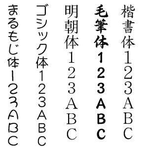 ご挨拶用カラータオル(御挨拶・のし紙への名入れ...の詳細画像2