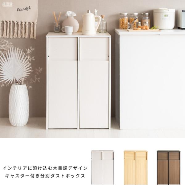 臭いが漏れにくいゴミ箱 分別キャスターダストボックス new Helios ヘリオス ゴミ箱に見えな...