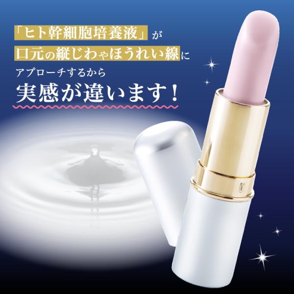 美女クリエイト BJザ・ロイヤルスティック （口元用）口元ケア ヒト幹細胞培養液配合 フェイスパック...