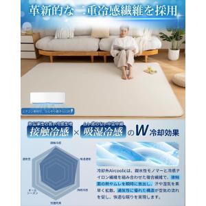 夏用ラグマット カーペット 接触冷感 【独自開...の詳細画像2