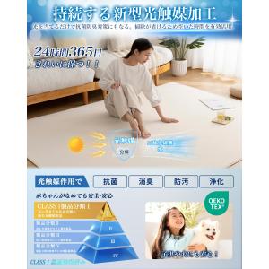 夏用ラグマット カーペット 接触冷感 【独自開...の詳細画像4