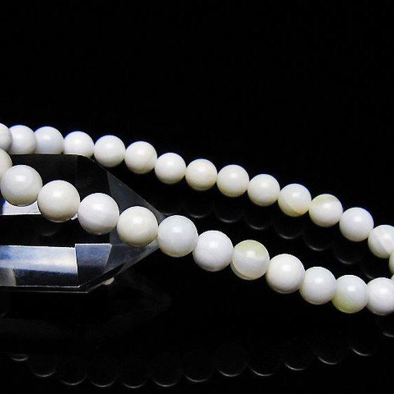 シャコガイ ブレスレット  6mm  t217-1550