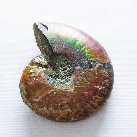 虹入り アンモナイト 化石 t570-4741