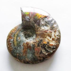 マダガスカル産 虹色 遊色 アンモナイト 化石 43.3x33.4mm 金運 財産