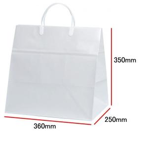 手提袋（手提げ紙袋） ブライダル　特小　巾360×マチ250×高さ350mm（10枚セット）｜seibu-store