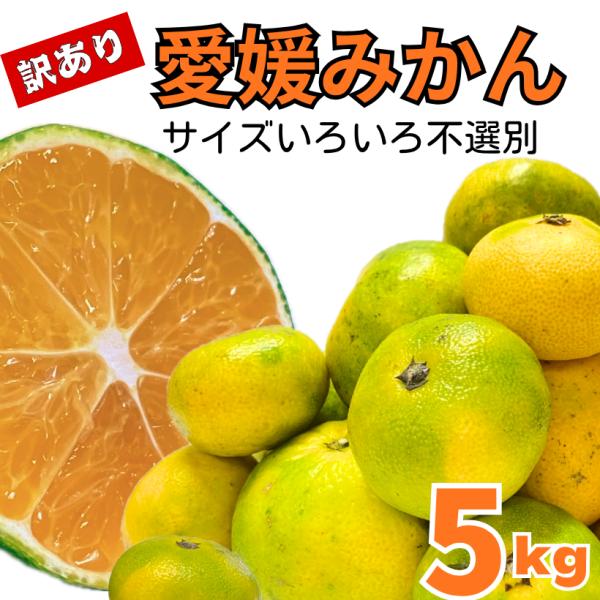 訳あり 愛媛みかん 約5kg 補償+500g サイズ不選別 温州みかん