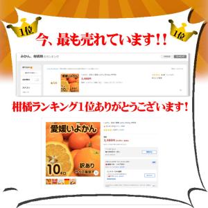 豊作特価!! 訳あり 愛媛いよかん 約10kg...の詳細画像1