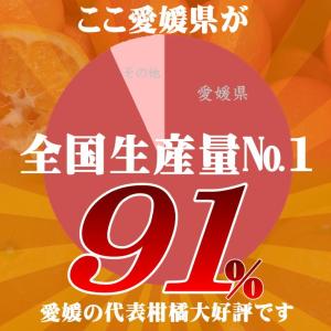豊作特価!! 訳あり 愛媛いよかん 約10kg...の詳細画像2