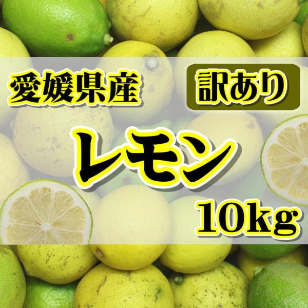 訳あり国産 レモン約10kg 愛媛県産 ワックス・防腐剤不使用 れもん 北海道・沖縄送料別途1000...