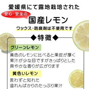訳あり レモン 国産 約2kg +200g補償...の詳細画像1