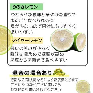 訳あり レモン 国産 約2kg +200g補償...の詳細画像2