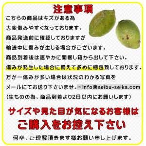 訳あり レモン 国産 約2kg +200g補償...の詳細画像5