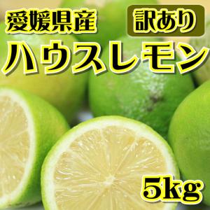 【訳あり】愛媛県産　ハウスレモン　約5kg【ワックス・防腐剤不使用】