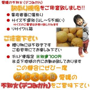 爆買い 訳あり しらぬひ(デコみかん) 約10...の詳細画像2