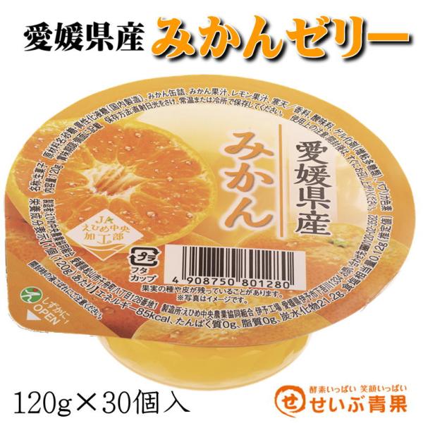 愛媛県産 みかんゼリー 30個入【送料無料(一部地域を除く)】【ゼリー/ゼリ−/ぜりー/Jelly】