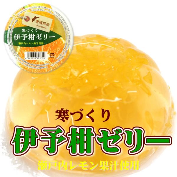 寒づくり伊予柑ゼリー 155g×30個入 愛媛県産 瀬戸内レモン使用