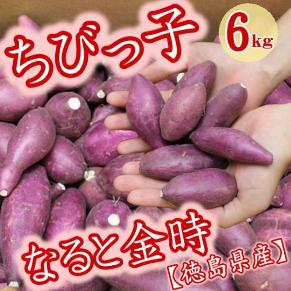 さつま芋 鳴門金時 ちびっ子なると金時 6kg 徳島県産 　