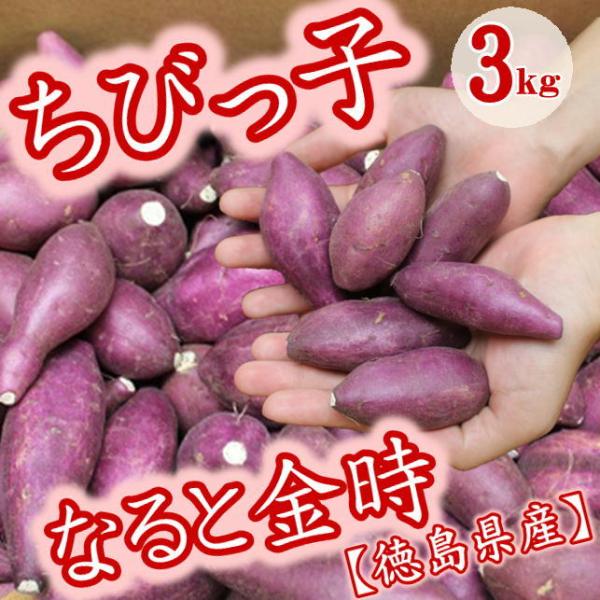 さつま芋 鳴門金時 ちびっ子なると金時 3kg 徳島県産 　