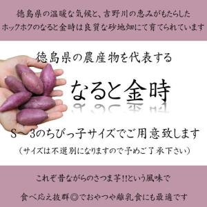 さつま芋 鳴門金時 ちびっ子なると金時 3kg...の詳細画像1
