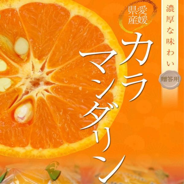 【化粧箱】愛媛県中島産 カラマンダリン 12玉 みきゃん