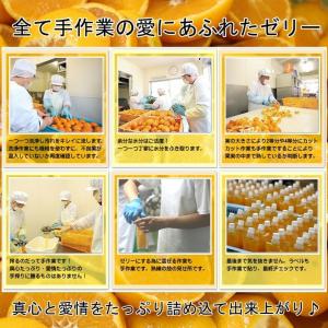 ちゅうちゅうゼリー 175g×8個入 ギフト ...の詳細画像1