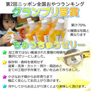 ちゅうちゅうゼリー 175g×8個入 ギフト ...の詳細画像2