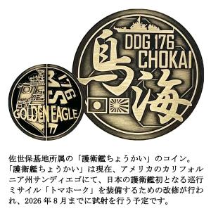 部隊識別コイン メダル 海上自衛隊 護衛艦 ち...の詳細画像1