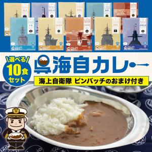 レトルト 海上自衛隊 【 呉海自カレー ＼選べる／10食セット(ピンバッチのおまけ付き) 】呉基地 艦艇  海自 呉